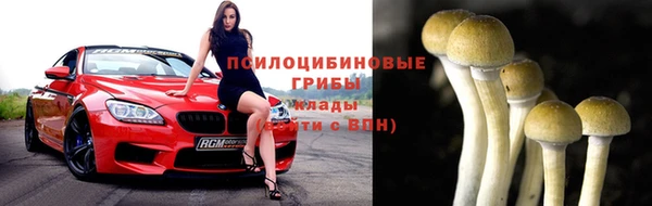 молекула духа Балабаново