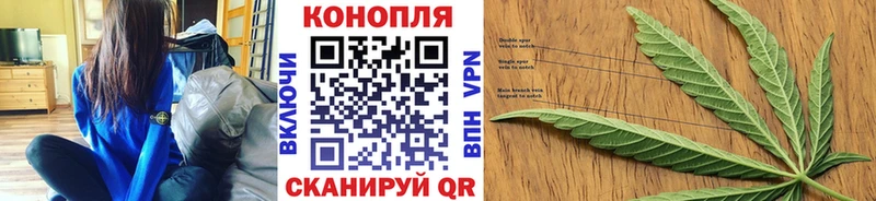 Марихуана сатива  купить наркоту  Ладушкин 